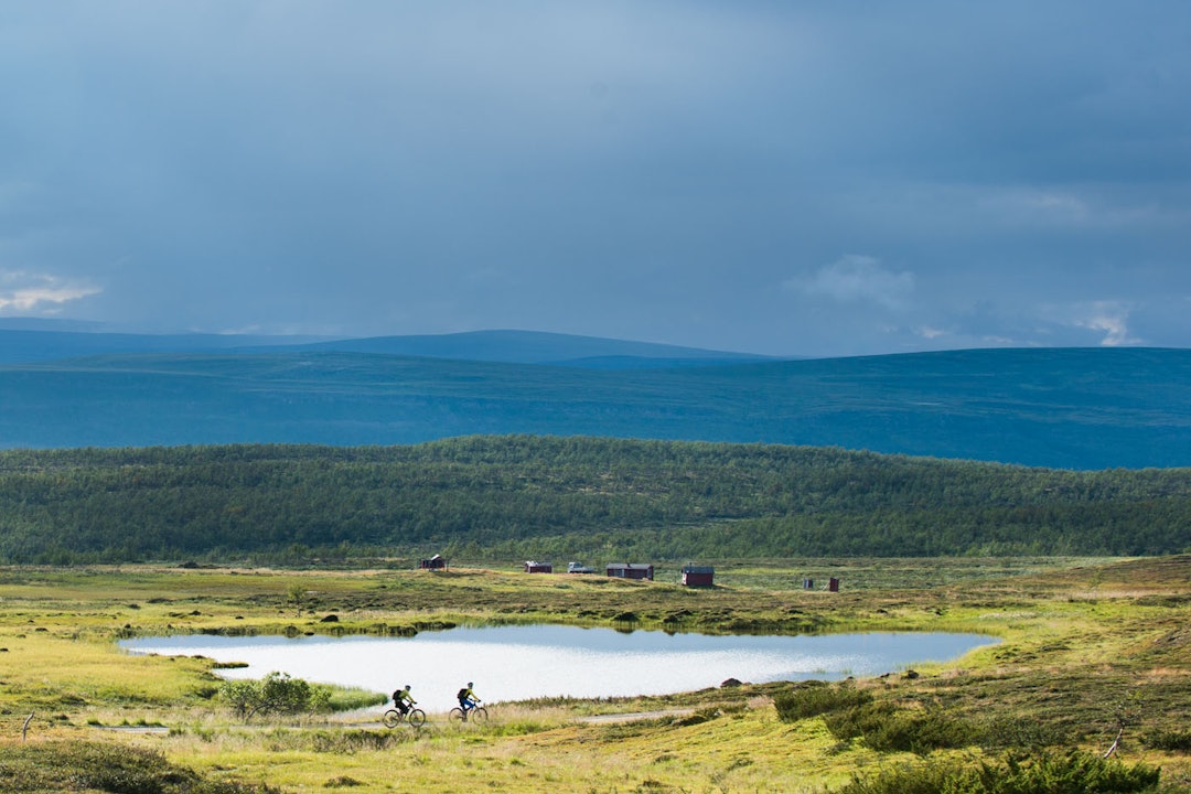 EN OPPLEVELSE: Spredt utover i terrenget, møter rytterne små setervoller. DSC_8822