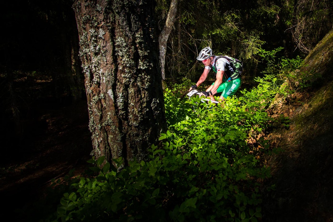 SKOG: Terrengsykkelrittet er skog, sti, røtter, trær og stein. I solskinn varierer lyset kraftig. Det gir utfordringer både for syklister og fotograf. (foto: Snorre Veggan) terrengsykkelrittet-5948a