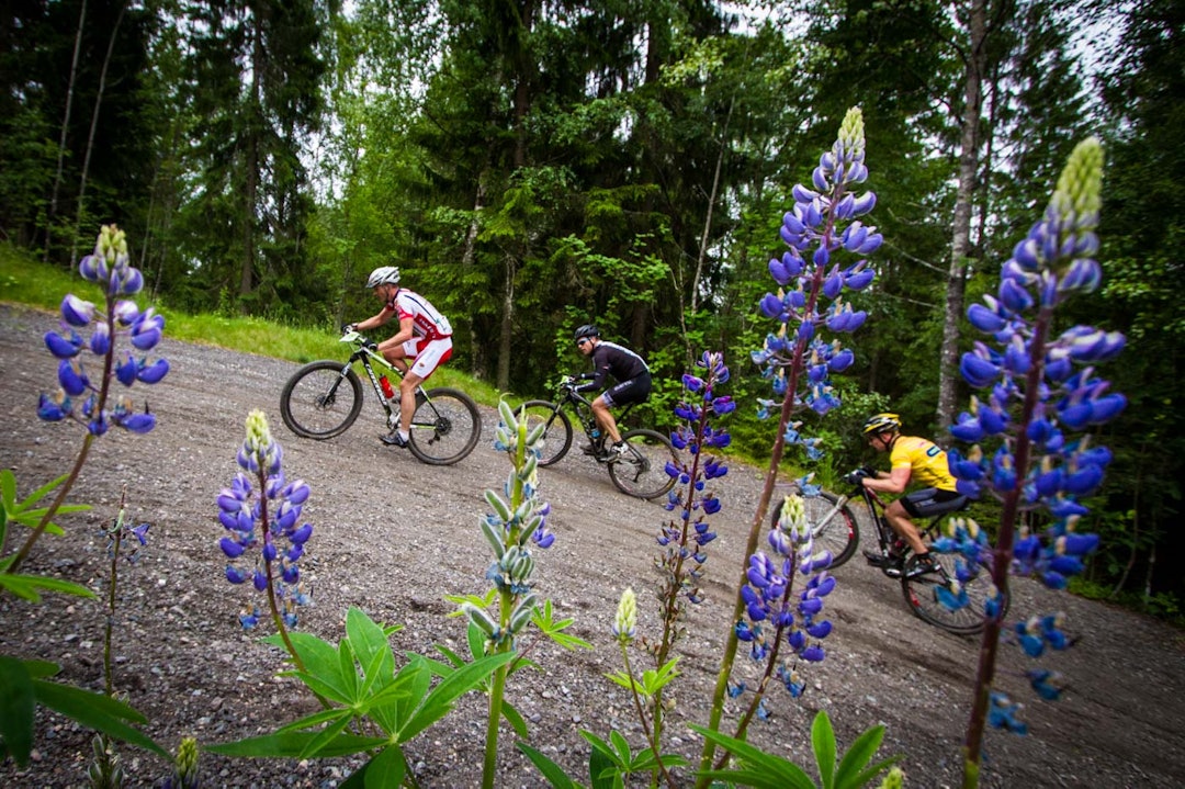 GRØFTEKANT: I den bratteste stigningen i rittet svinger løypa nesten 180 grader og mange av rytterne må ned på minste klinga. (foto: Snorre Veggan) østmarkrittet-0015a