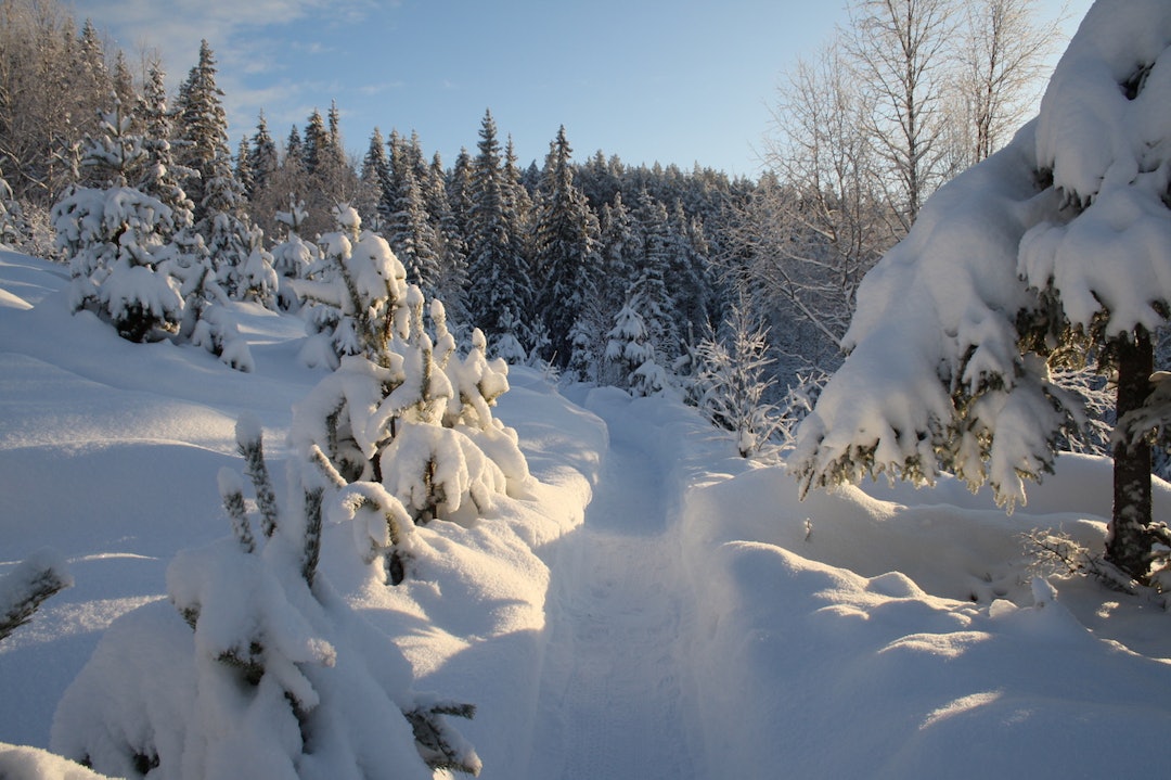 Nesten 20 minus og MYE nysnø bidro til en vintereventyrlig ramme rundt arrangementet. Foto: Silje Vadla Ulberg Hjulefeit 2017 - Silje Vadla Ulberg 1400x933