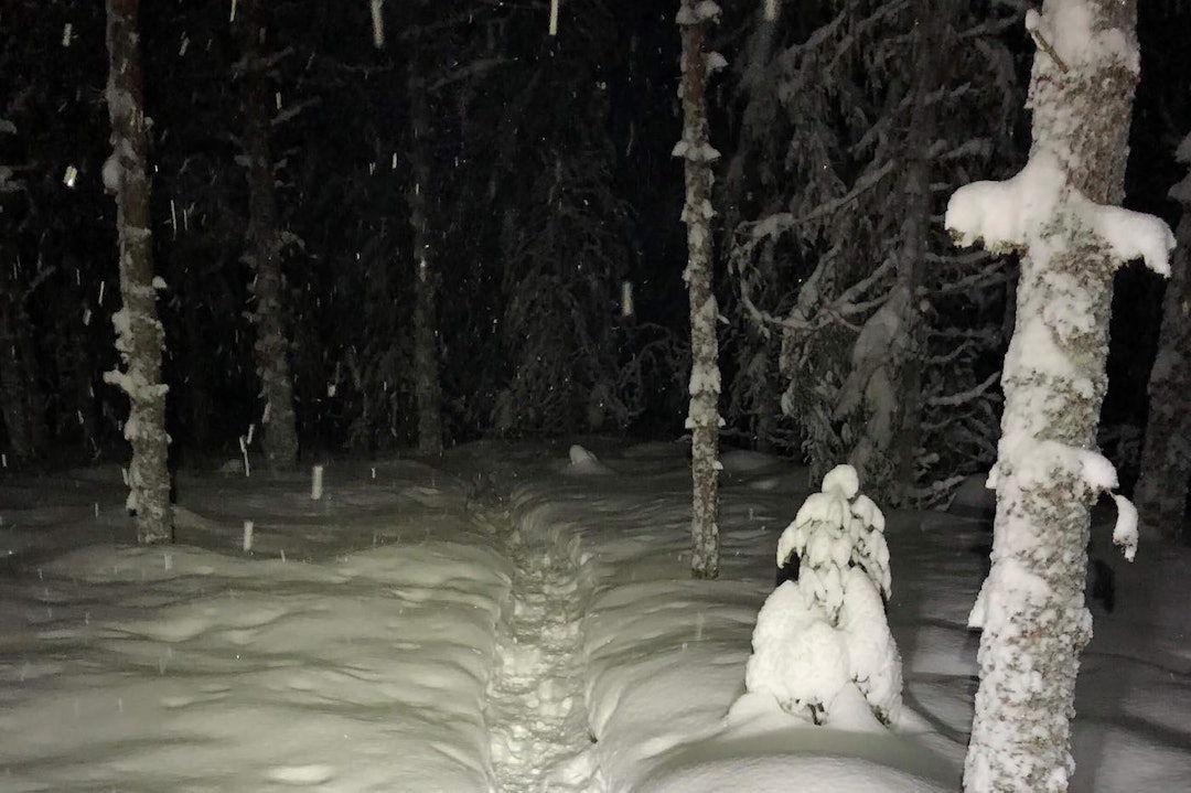 Trugetrødde stier er mye smalere enn skuterstiene, og derfor vanskeligere for ferske tjukksyklister. Foto: Tom Ruud Fatbike trail prep Lillehammer Dec 28-17 - Tom Ruud 1400x933
