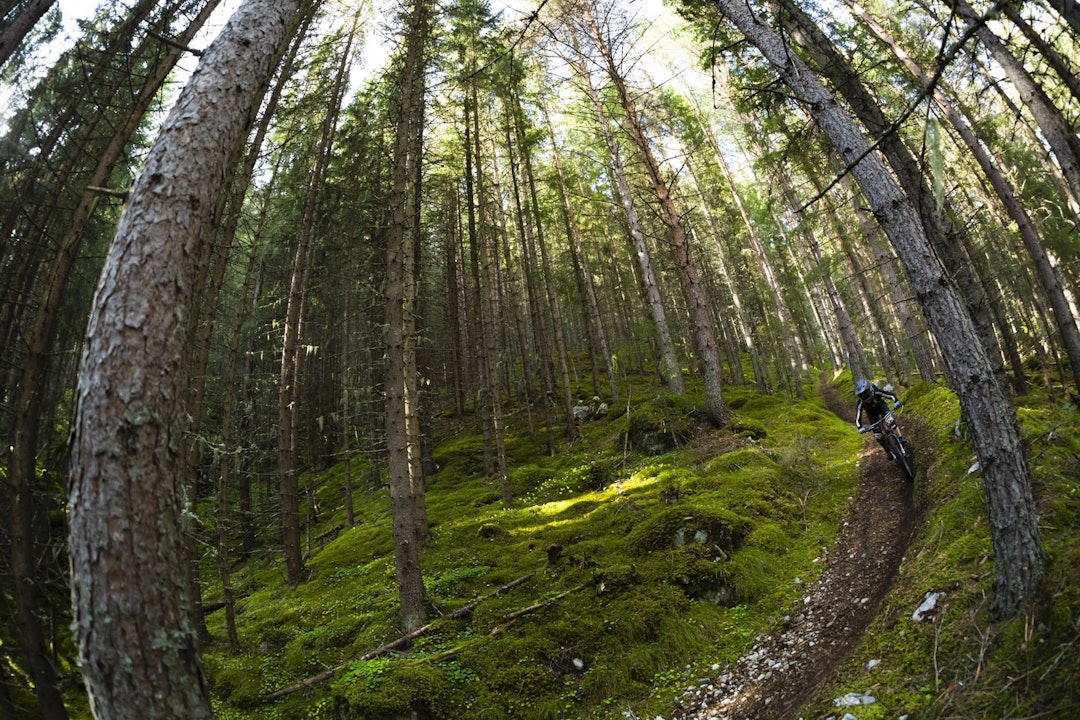 Nesbyen-enduro-nm-1956 Nesbyen-enduro-nm-1956