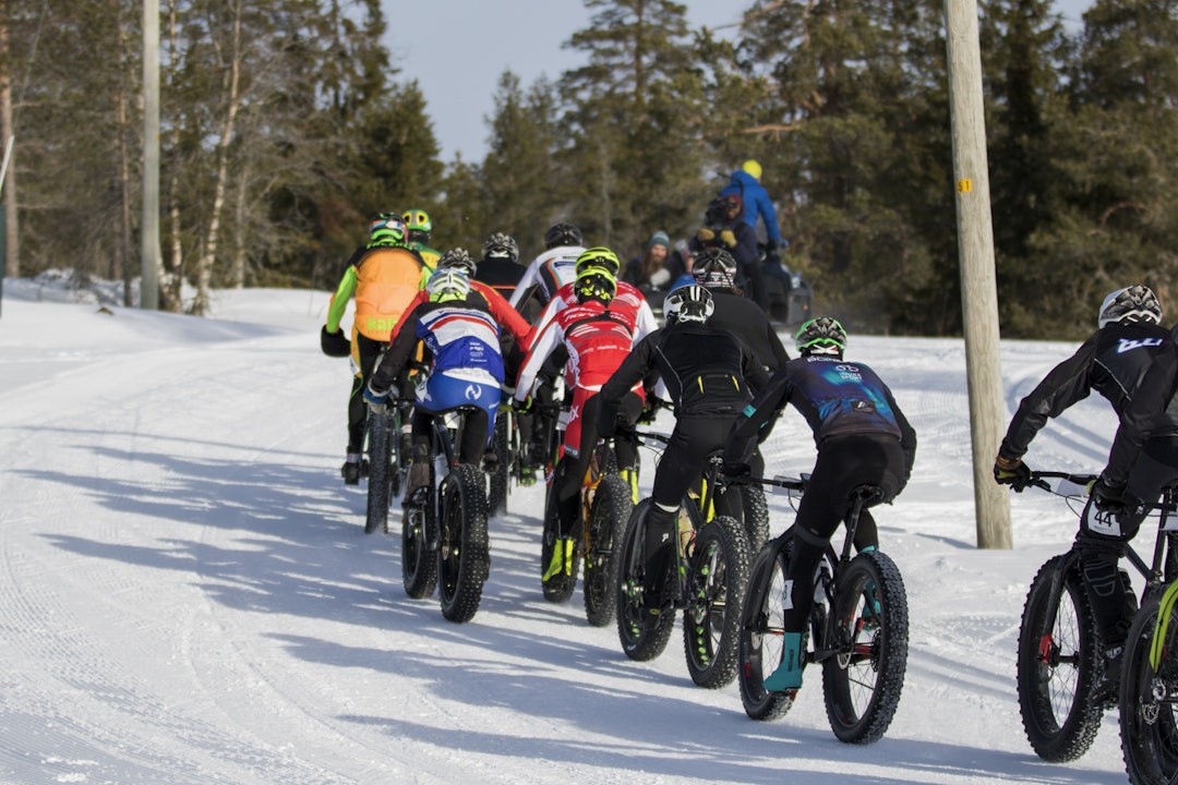 NM-feltet Felt_NM_Fatbike