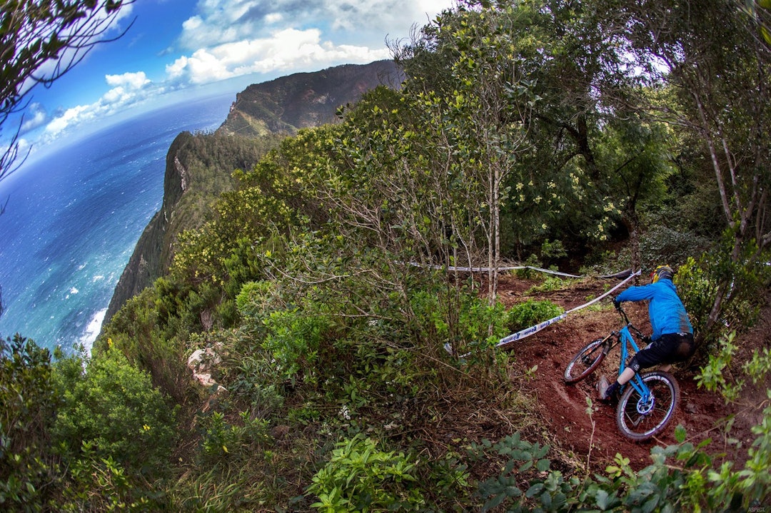 Trans Madeira trail Jacob Gibbins 1400x933