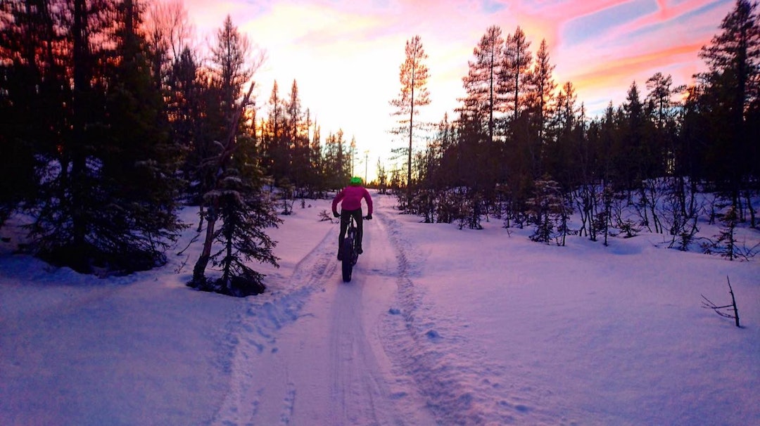 Forholdene i løypa er upåklagelige uka før det uoffisielle fatbike-NM på Lygna. Foto: Hans Jørgen Kvåle Fatbike NM Lygna 1400x786