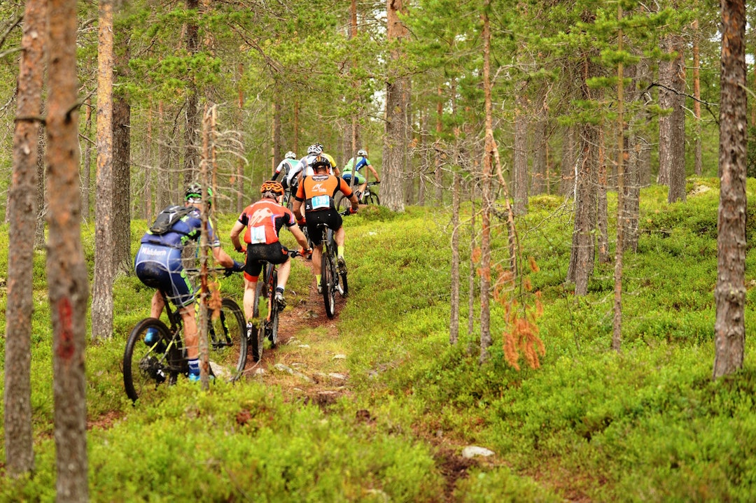 Uvisst om krattet eller myggen var tettest på Lillebo. Riders - 1400x933