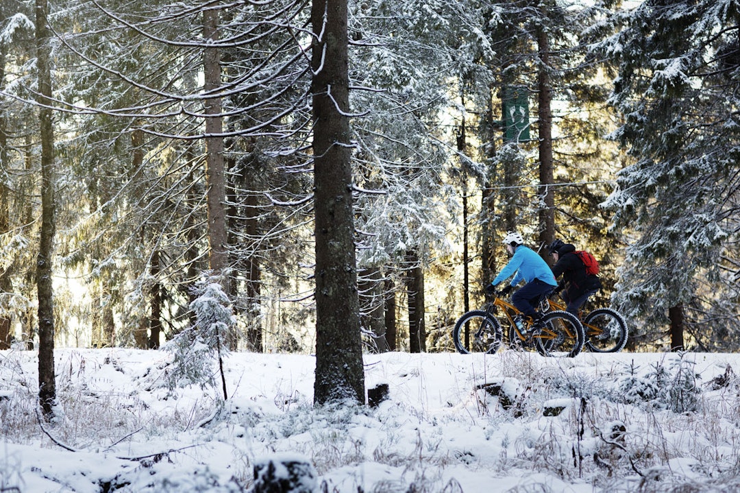 Rolig tempo: I fraværet av alpinister, kunne fatbikerne kose seg i fredelige omgivelser i Tryvann. _IPP6249