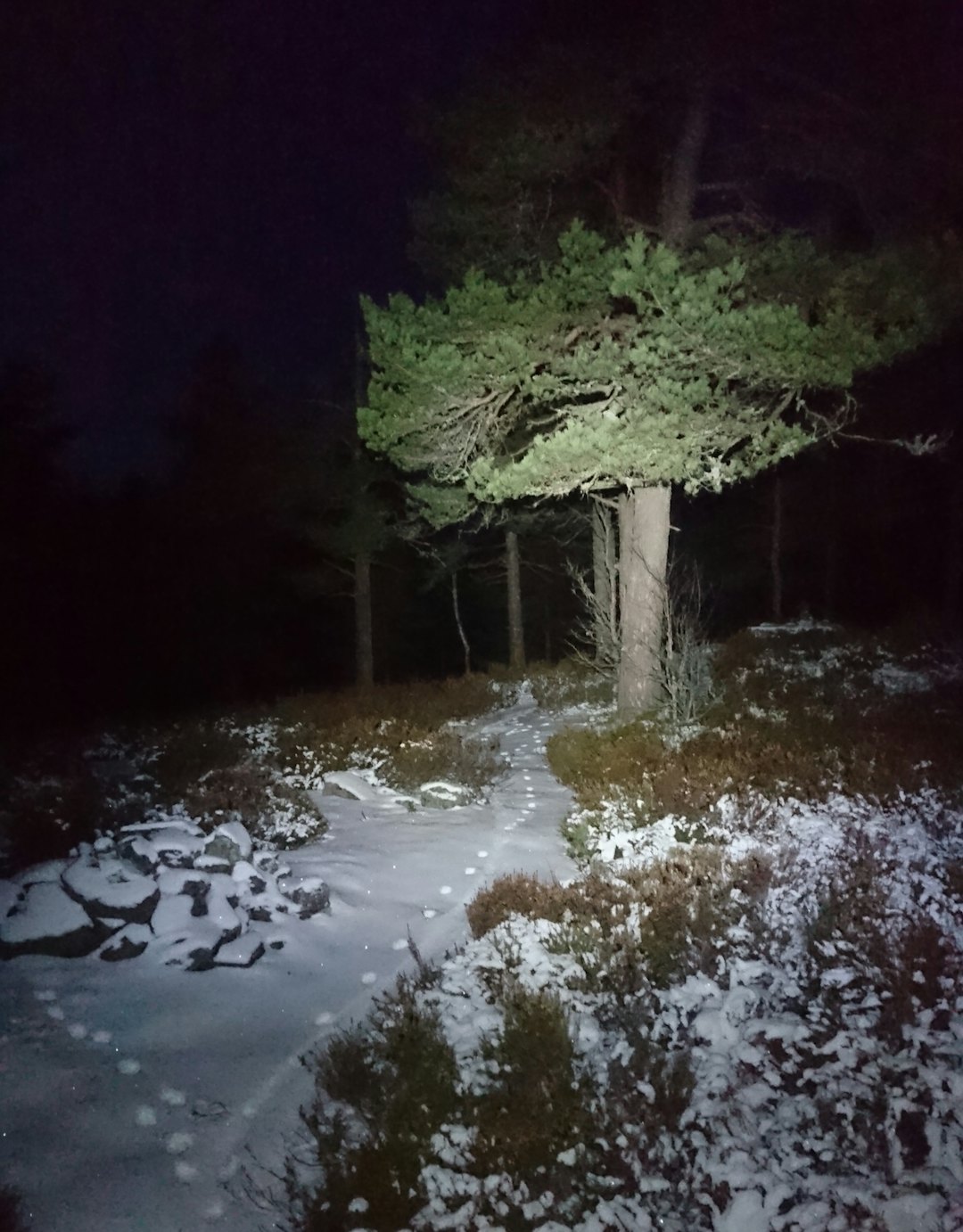 Vinteren byr på fine stiopplevelser med lykt og piggdekk. Tirsdag blir det fellestur i Østmarka. Foto: Ole Hem Østmarka Dec 2017 - Ole Hem 1400x