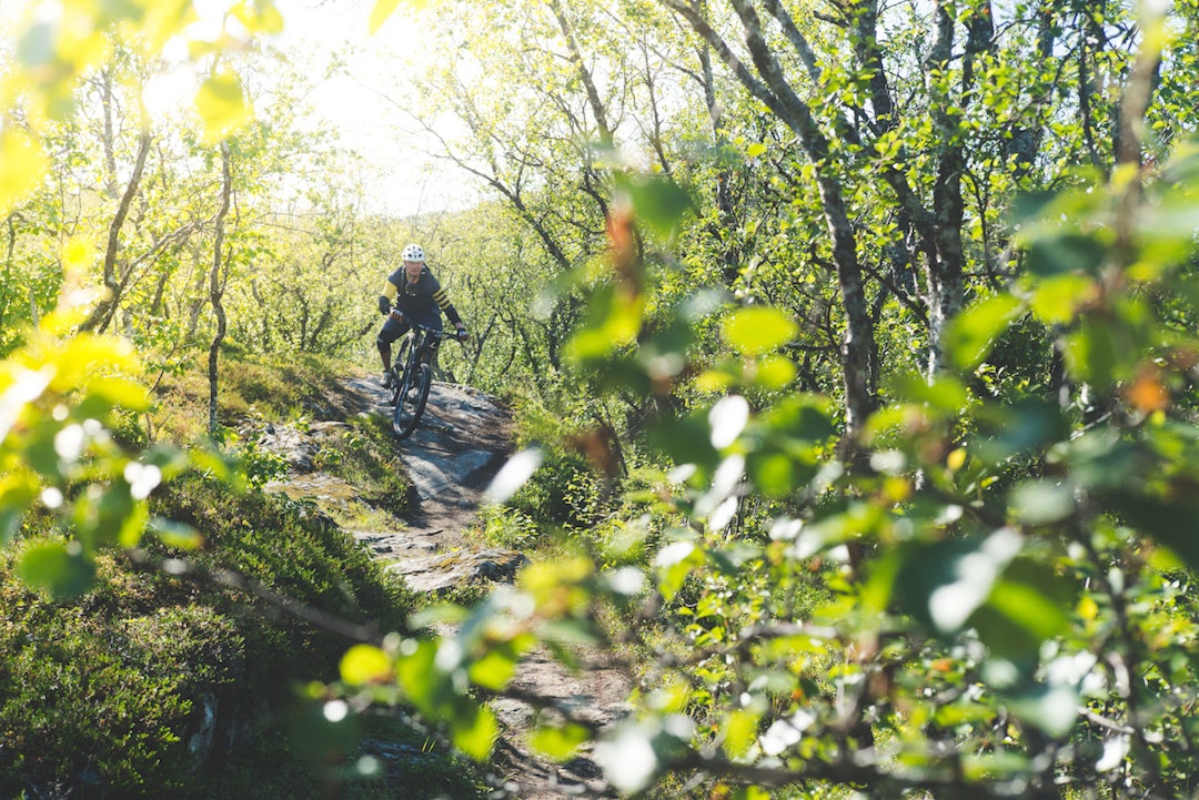 L1000515-2 L1000515-2