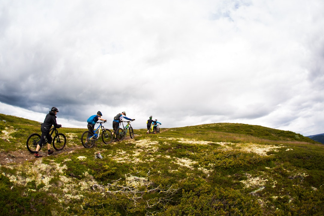 OPP: Starten gikk på 1133 moh og de øverste par kilometerne måtte dyttes / sykles før start. (foto: Snorre Veggan) hillbilly-0048a