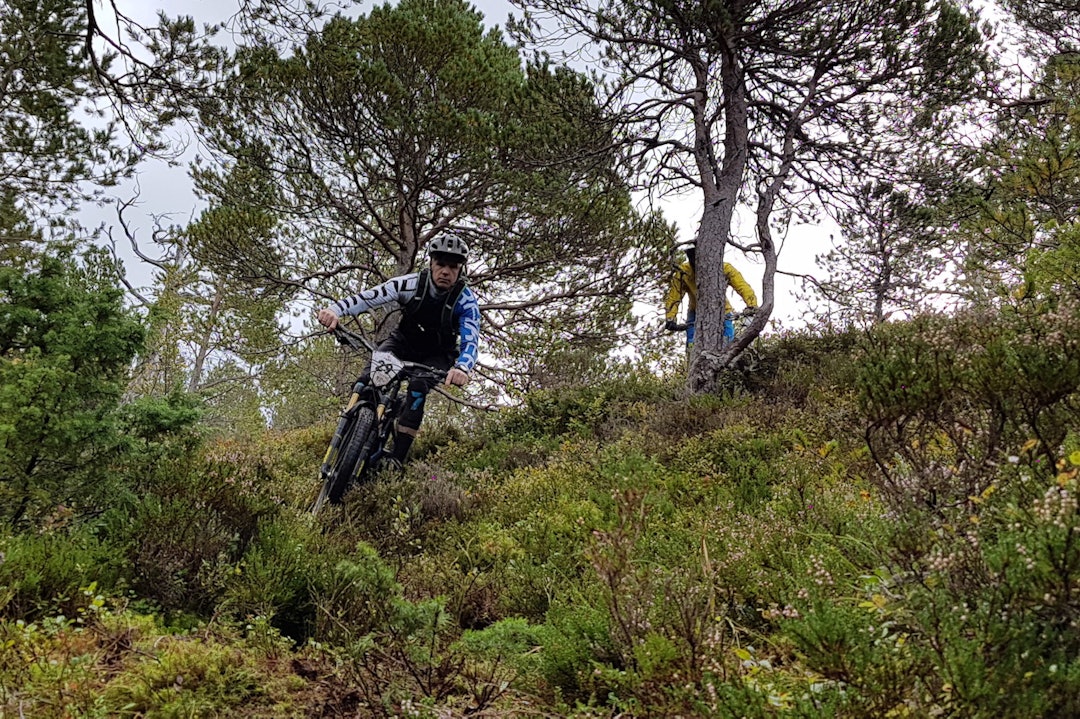 Espen Johnsen i fri dressur under Frei Enduro 2016. Foto: Preben Nøkleby Espen Johnsen - Frei enduro 2016 - Foto Preben Nøkleby 1400x933