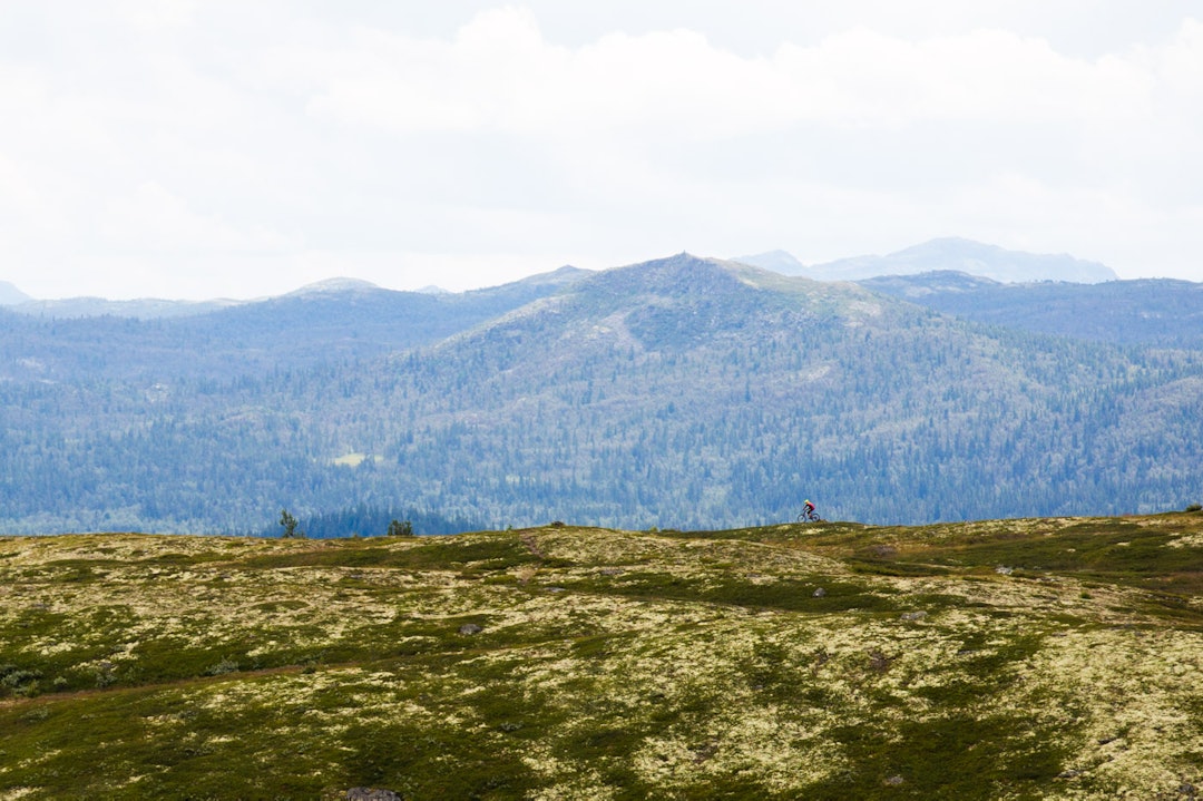 PÅ EGGEN: Etter hvert kunne han nyte denne eggen på vei nedover mot Dengis Kahn. (foto: Snorre Veggan) hillbilly-0214a