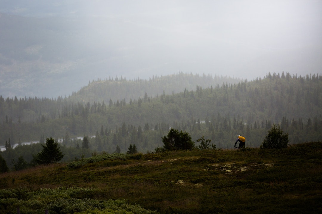 REGN: Men så kom regnet. (foto: Snorre Veggan) hillbilly-0375a
