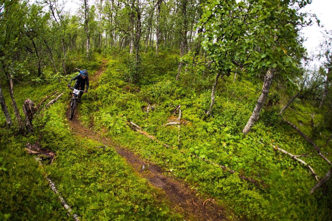 SMALSTI: Dengis Kahn starter snilt med sti som slynger seg gjennom bjørkeskogen. (foto: Snorre Veggan) hillbilly-0407a