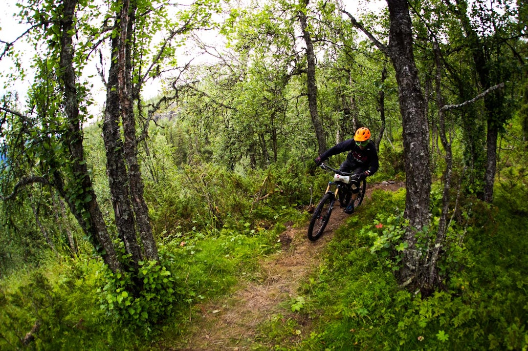 LIKE FØR: Men så må man gjøre seg klar, for like etter denne svingen... (Foto: Snorre Veggan) hillbilly-0432a