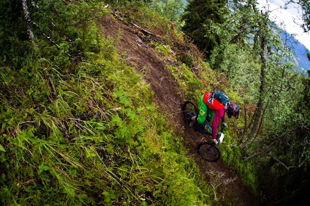 NEDOVER: ... så stuper man nedover mot bunnen av dalen. (foto: Snorre Veggan) hillbilly-0454a