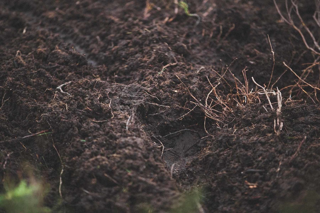 Foto: Kristoffer H. Kippernes Foto: Kristoffer H. Kippernes