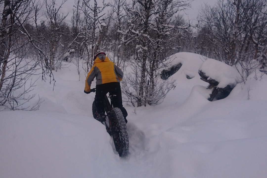 Labyrinten Foto: Nina Gässler Geilo fatbike trail Nina Gässler 1400x933