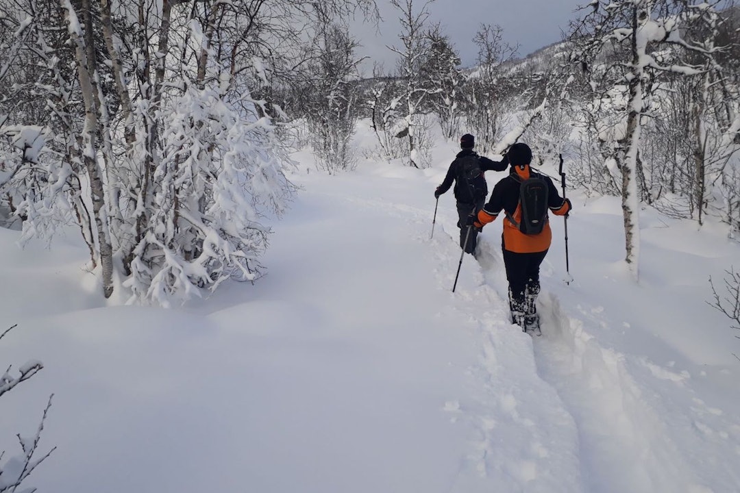 Trugeturistene bidrar til å tråkke opp stier som også brukes av fatbikesyklistene. Foto: Nina Gässler Geilo Snow shoeing 2017 - Nina Gässler 1400x933