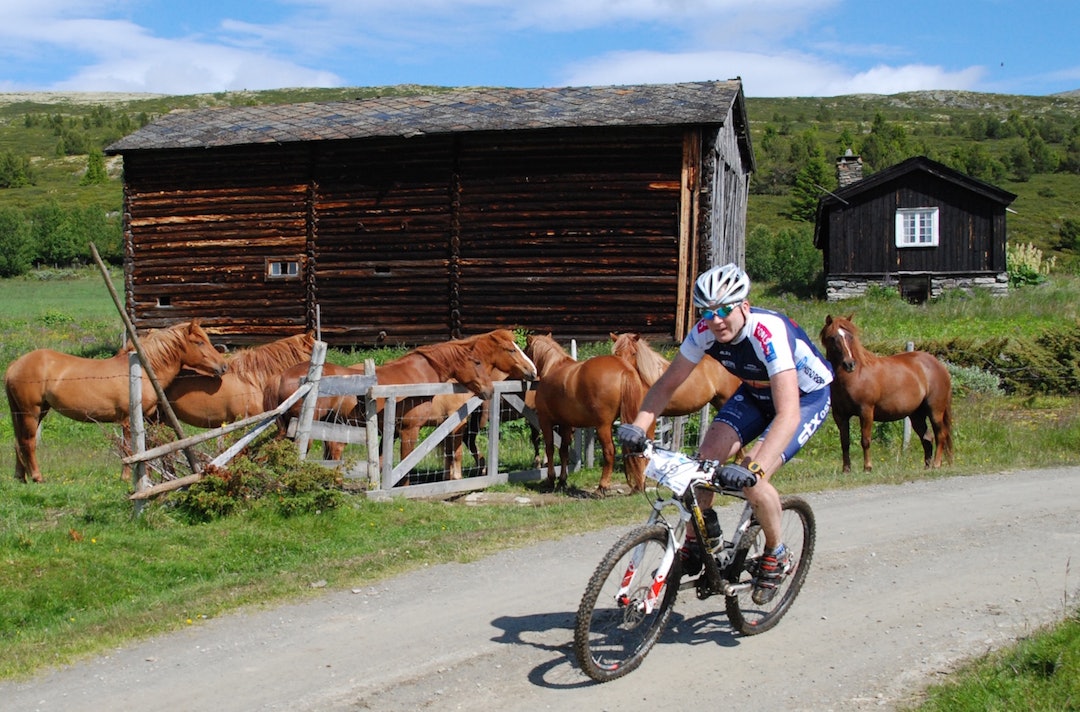 Furusjøen Rundt Rittet skal selge seg internasjonalt på norsk natur og utsikt. Foto: Stig Haugen Furusjøen Rundt rittet 2012 Foto Stig Haugen 1400x924