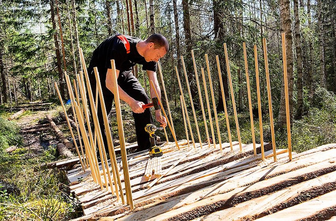 Pengene fra Statskog skal blant annet brukes til å kjøpe materialer til klopping. Foto: NOTS Oslo og Omegn klopping - NOTS OO 1400x924