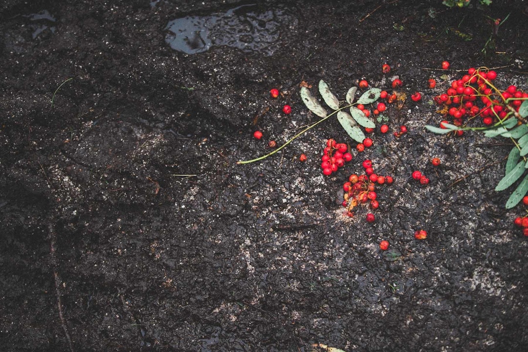 Foto: Kristoffer H. Kippernes Foto: Kristoffer H. Kippernes