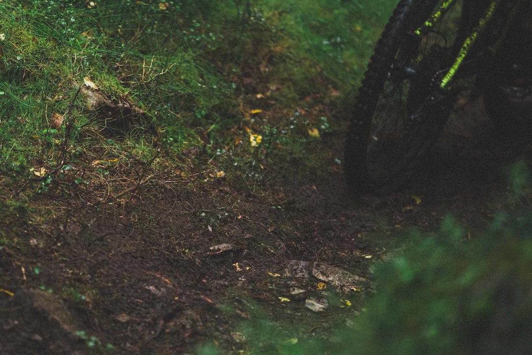 Foto: Kristoffer H. Kippernes Foto: Kristoffer H. Kippernes