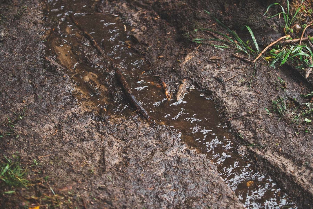 Foto: Kristoffer H. Kippernes Foto: Kristoffer H. Kippernes