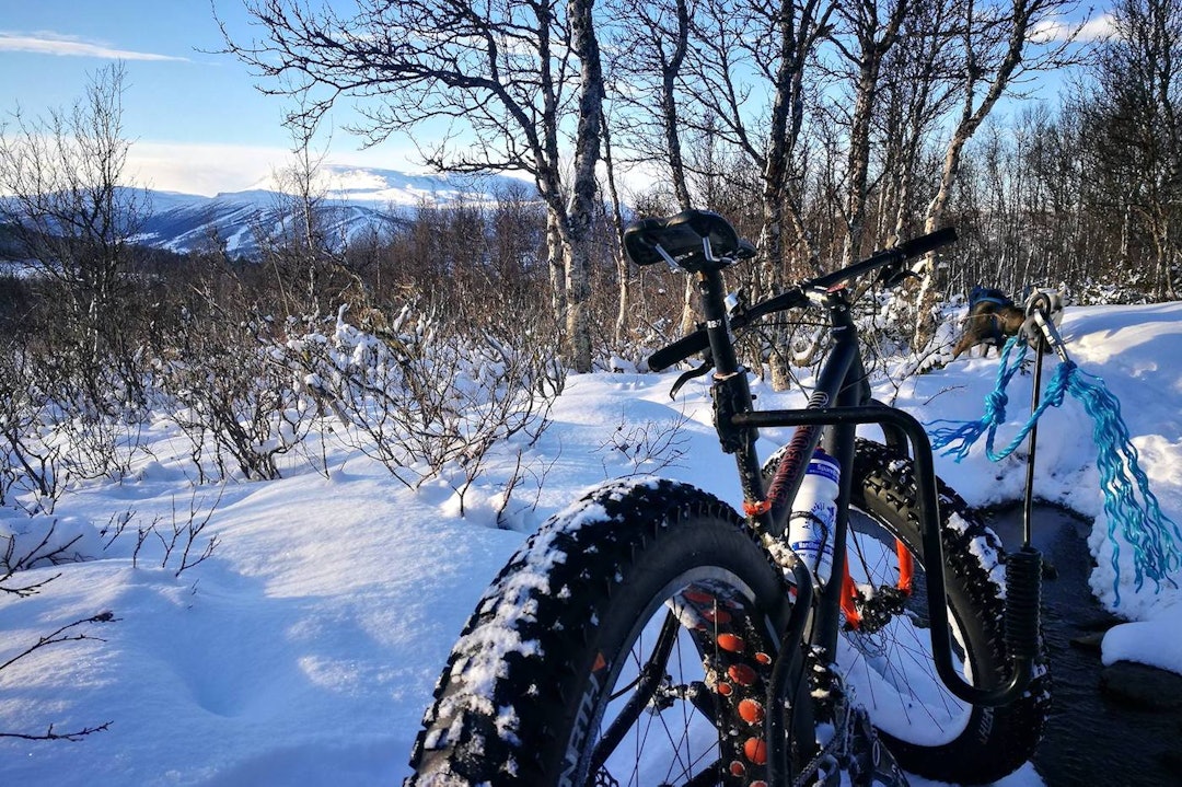 Skogsløypa gir både stisykling og fine glimt av fjellet. Foto: Tore Haugen Fatbike Geilo Tore Haugen 1400x933