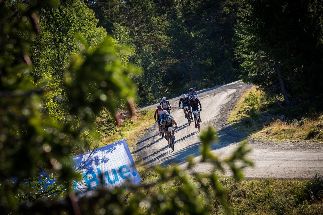 SVINGENE: For de med størst aversjoner mot Birken, er det lett å si at "det er jo bare en rett grusvei". Påstand feil - det er mange rette strekninger, men sannelig er det mange svinger også. Snorre Veggan fikk vist fram nettopp dette. (foto: Snorre Veggan) svingene_birken2015-0604a