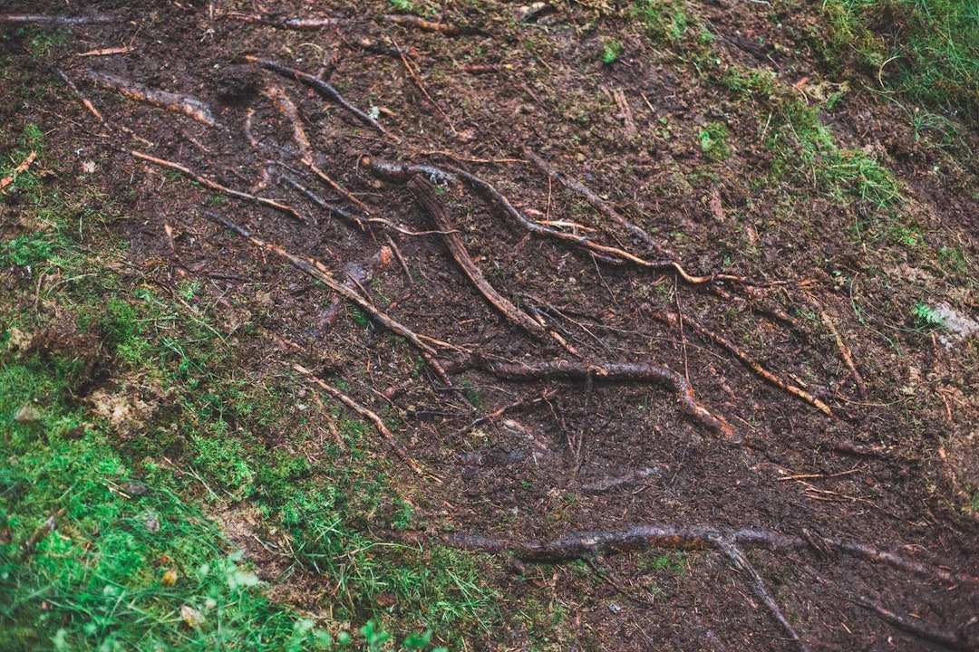 Foto: Kristoffer H. Kippernes Foto: Kristoffer H. Kippernes