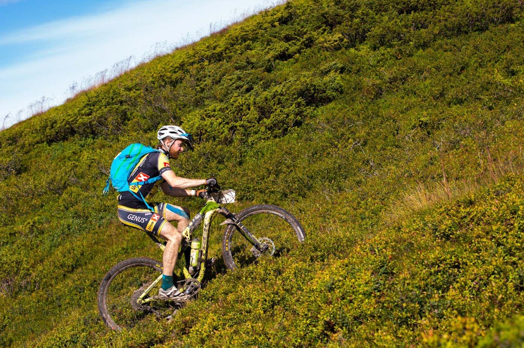 ultrabirken-0333a ultrabirken-0333a