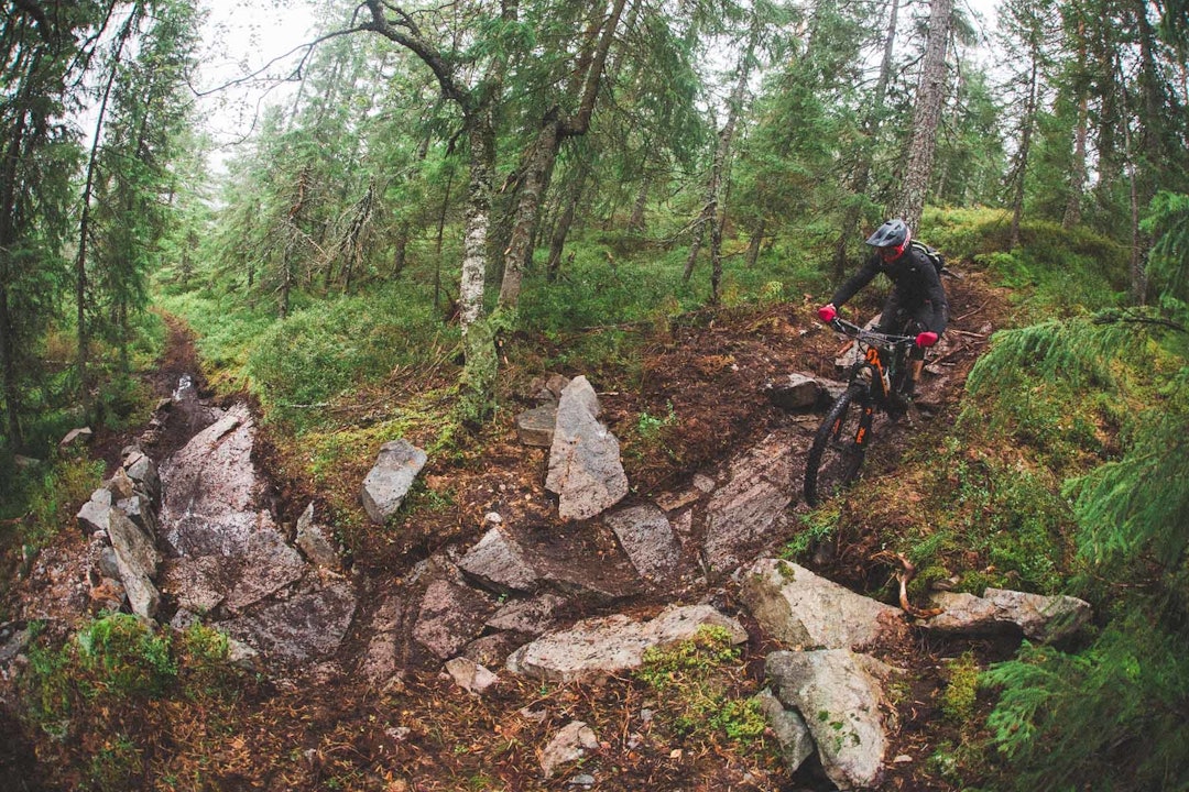 Foto: Kristoffer H. Kippernes Foto: Kristoffer H. Kippernes