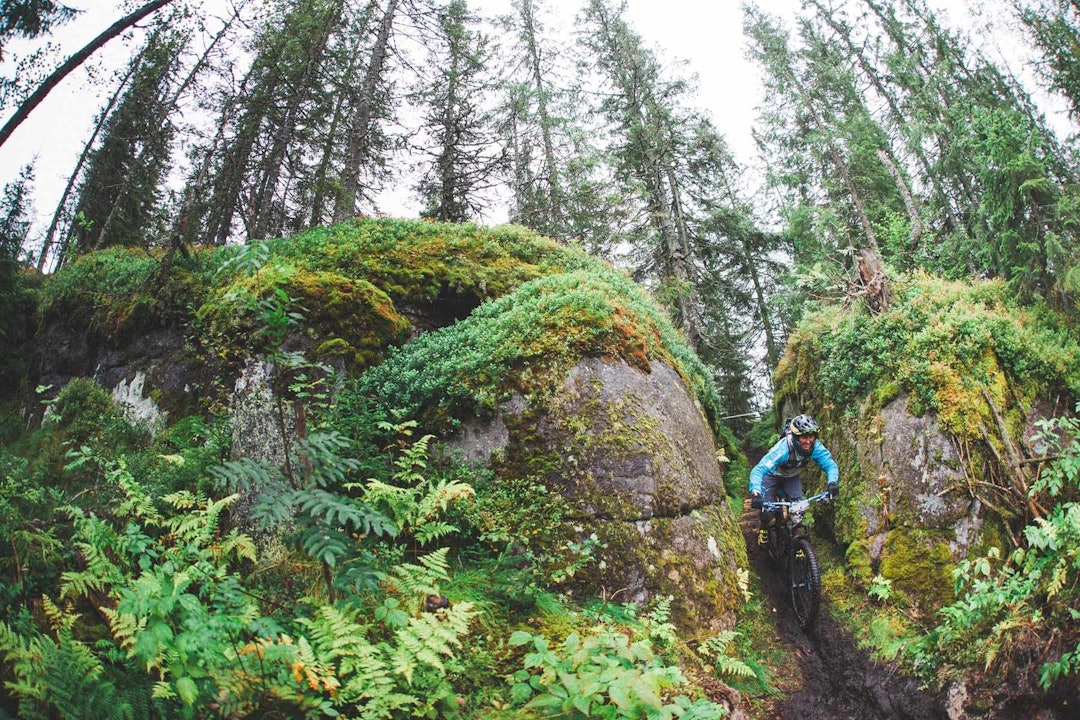 Foto: Kristoffer H. Kippernes Foto: Kristoffer H. Kippernes