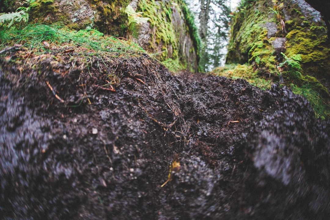 Foto: Kristoffer H. Kippernes Foto: Kristoffer H. Kippernes