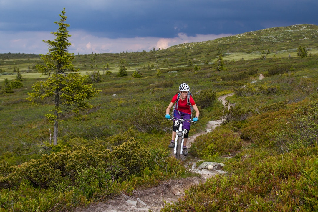 Hva ønsker og tenker norske stisyklister om sentrale temaer rundt aktiviteten? Foto: Caroline Stømhylden Sykkel Lillehammer - Caroline Strømhylden 1400x933
