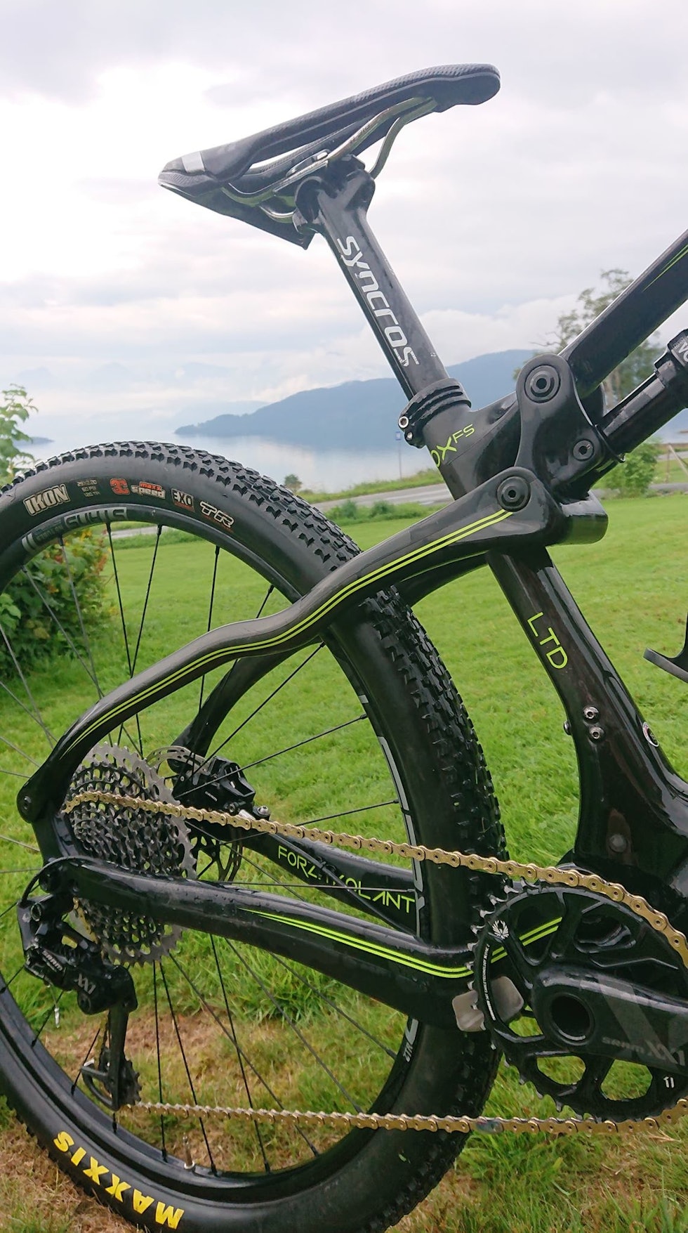 FORSTERKEDE DEKK: Hildegunn kjører med Maxxis Ikon EXO i 2,25 tommers bredde bak. Foran har hun Specialized Fast Trak i 2,3-tommers bredde. Hildegunn Hovdenak Hard Rocx