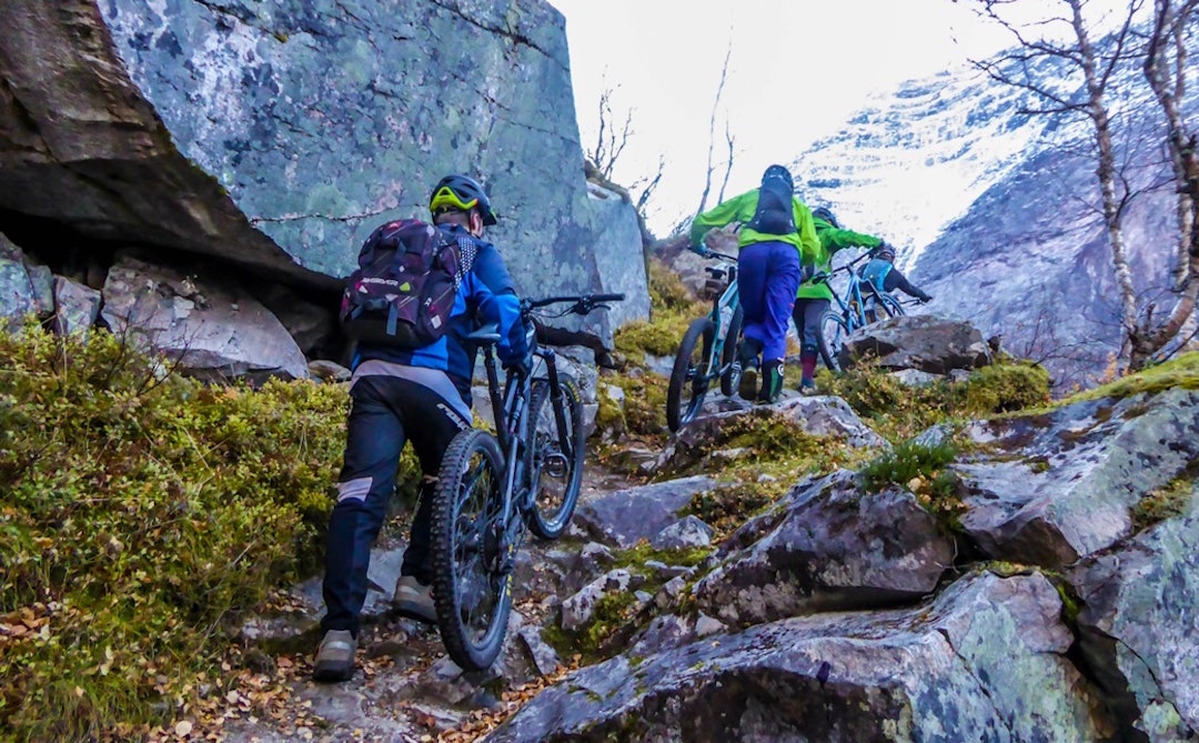 Høstfesten 2016 ble avholdt med strålende sykkelforhold. Foto: Martin Bruaset Folven høstfest 3 - Martin Bruaset copy 1200x744