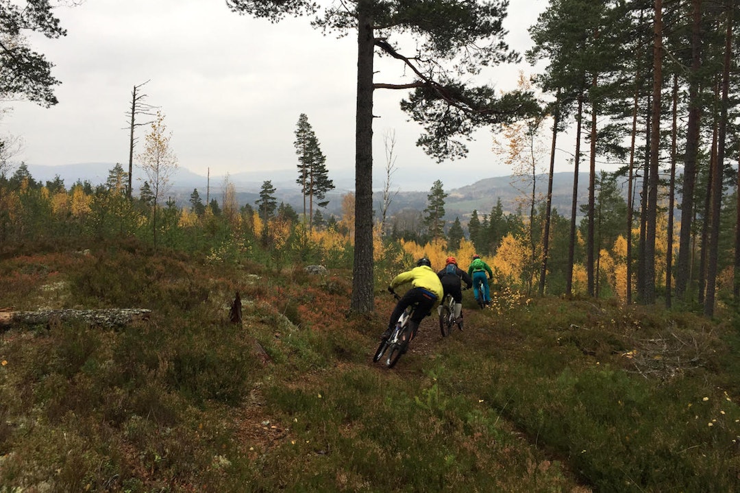 Mye flyt og naturlige stier. Foto: Ringerike Enduro Ringerike Enduro 1 - Silje Gjerde 1400x933