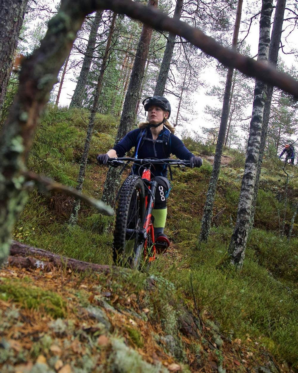 Høstmagi i skogen. Foto: Bjørn Enoksen GTG Gulljakt i Østmarka Oct 2017 singletrack - Bjørn Enoksen 1000x