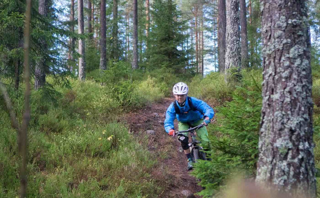 Den skal tidlig krøkes. Foto: Joline Johansson Stikurs Joline Johansson Oct 2017 kid - Foto Joline Johansson 1400x898