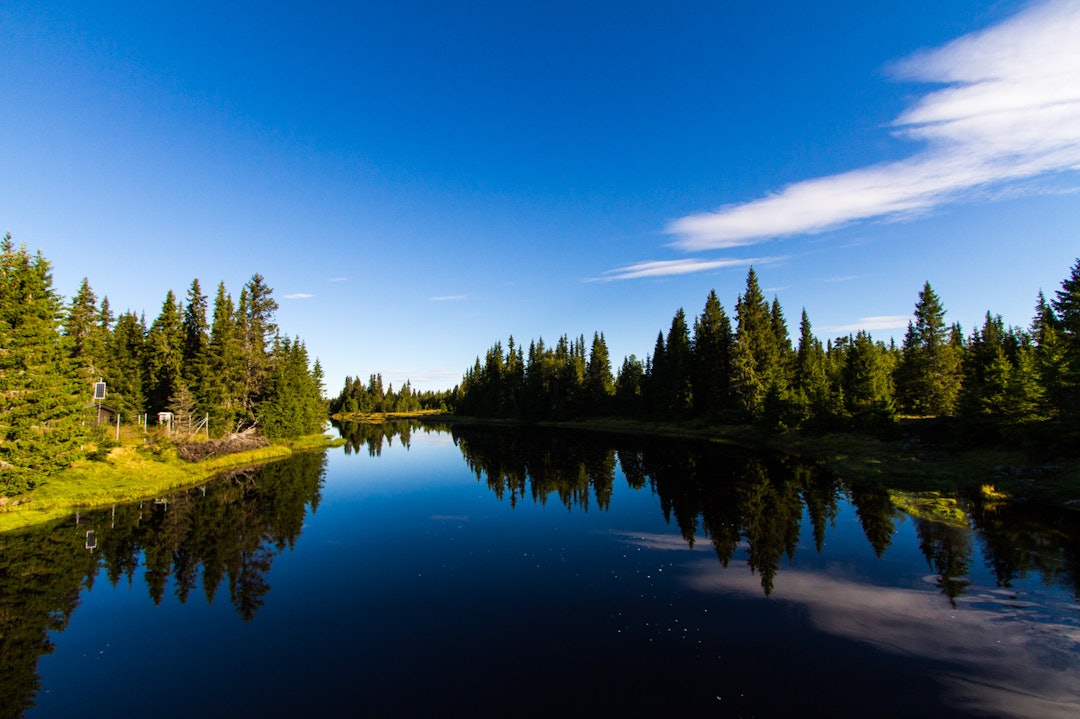 STRØKENT: Det var ikke så halvgærent å vente på damenes eliteklasse på Kvarstad. (foto: Snorre Veggan) birken2015-9143a