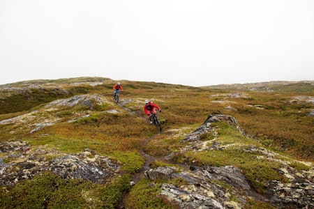 Sæterhaugen er en kort og fin topptur vest for Oppdal. Trygve Sande og Odin Sande sykler smalsti på toppartiet. / Stisykling i Norge.