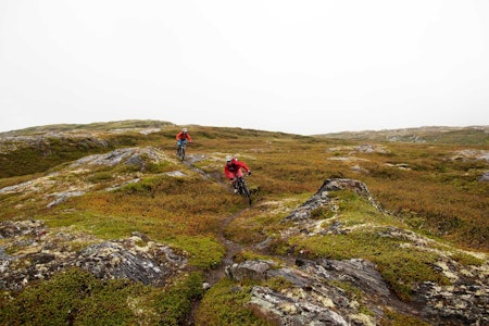 Sæterhaugen er en kort og fin topptur vest for Oppdal. Trygve Sande og Odin Sande sykler smalsti på toppartiet. / Stisykling i Norge. Sæterhaugen er en kort og fin topptur vest for Oppdal. Trygve Sande og Odin Sande sykler smalsti på toppartiet. / Stisykling i Norge.
