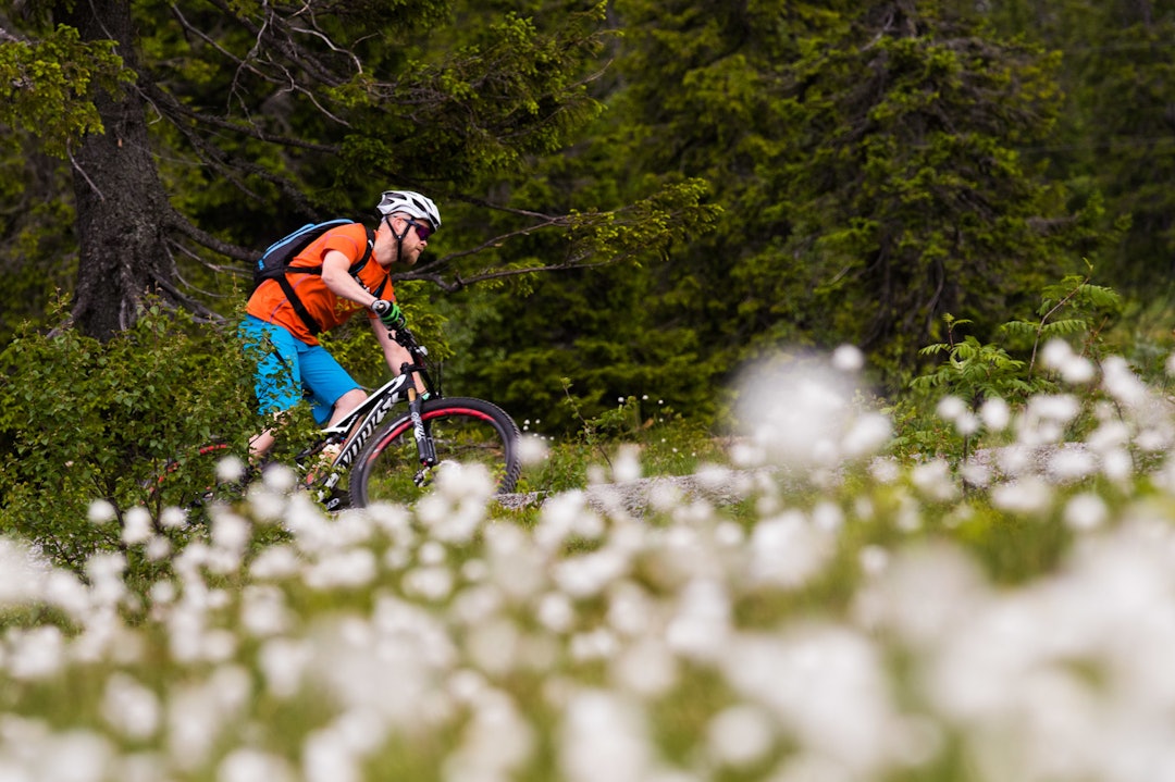 HVITT OG GRØNT: For de som hadde tid til å kikke til side for stiene, så var myrene fulle av myrull. Her er det Per-Eivind Syvertsen som setter en sving på vei ned fra fjellet. (foto: Snorre Veggan) utflukt2016-0660a