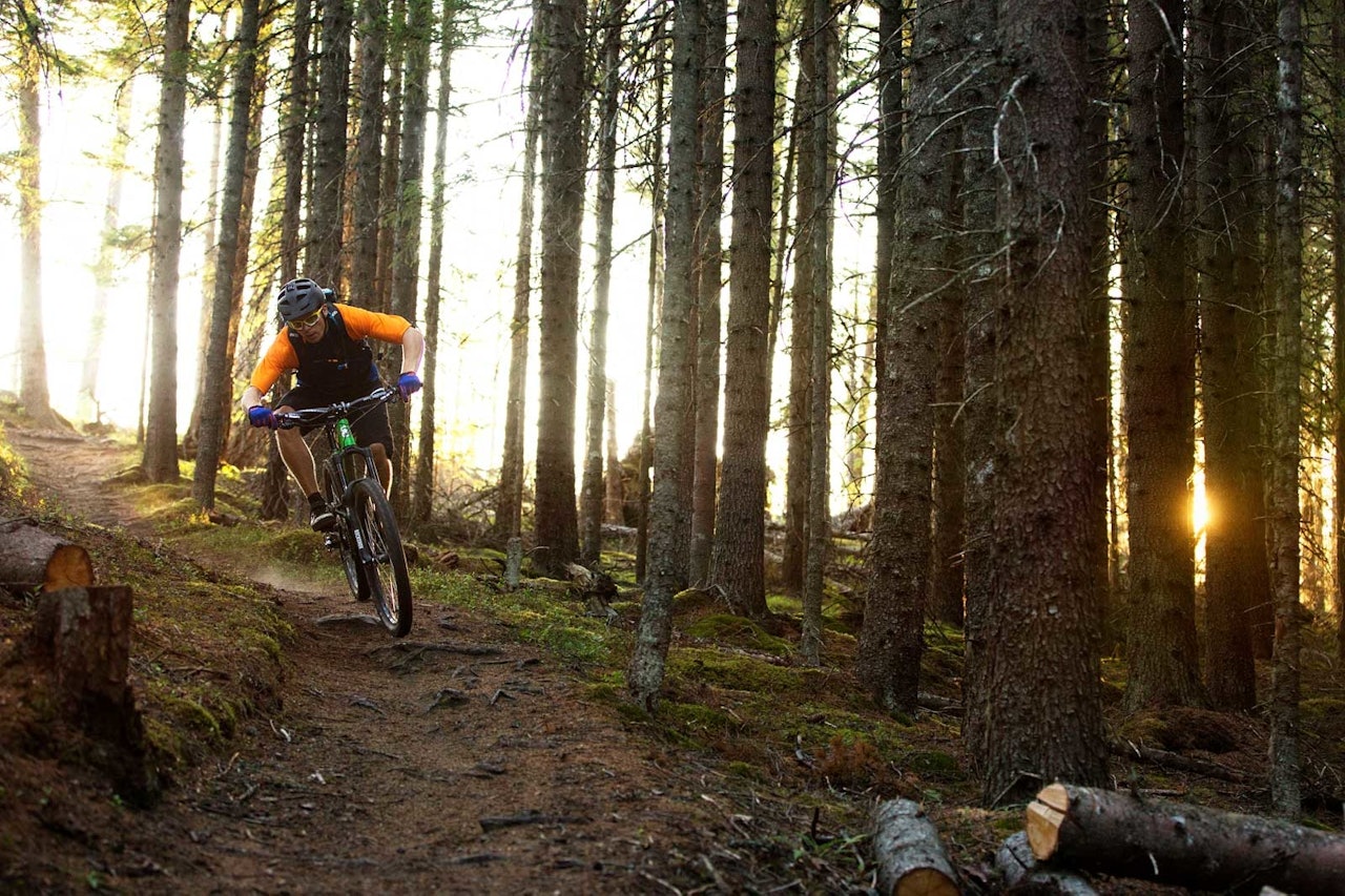 Uforkjøringen fra Langdalskollen ned til Geita er en av Arne Radmanns favorittstier, med god grunn. / Stisykling i Norge. Uforkjøringen fra Langdalskollen ned til Geita er en av Arne Radmanns favorittstier, med god grunn. / Stisykling i Norge.