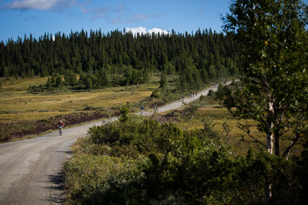 NEDOVER: Etter Rosinbakken gikk det nedover en liten stund. (foto: Snorre Veggan) birken2015-1154a