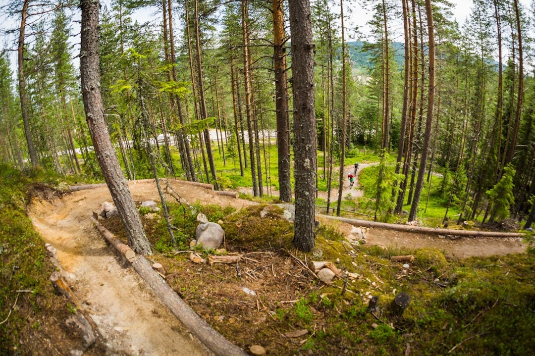 ROLIGERE: Mens det gikk til dels roligere i Gullia, i hvert fall på vei opp igjen. (foto: Snorre Veggan) utflukt2016-6976a