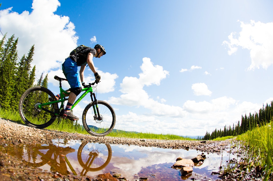 SOL OG VARMT: Stort heldigere med været kan man vel ikke være. Godt vær er allerede bestilt til neste år igjen. (foto: Snorre Veggan) utflukt2016-7612a