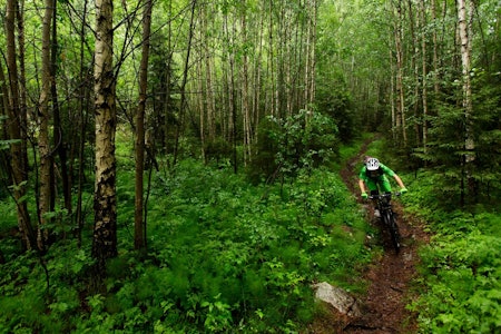 Skrotnissen er en fin runde å ta på kvelden. Høydemeterne slukes på grus oppover, og variert sti nedover. Sverre Eckhoff går i ett med landskapet. / Stisykling i Norge. Skrotnissen er en fin runde å ta på kvelden. Høydemeterne slukes på grus oppover, og variert sti nedover. Sverre Eckhoff går i ett med landskapet. / Stisykling i Norge.